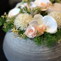 Witte orchideeënpracht 11